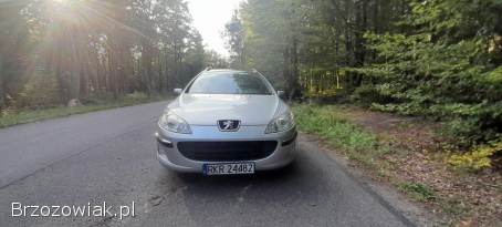 Peugeot 407 SW 2004