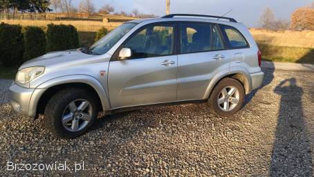 Toyota RAV4 2 gen 2004