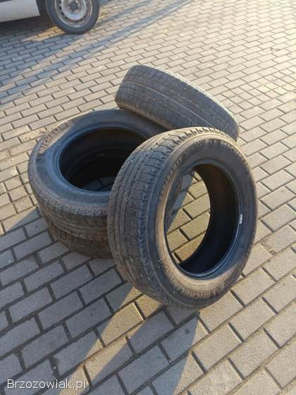 Michelin R17 225/65 wielosezon