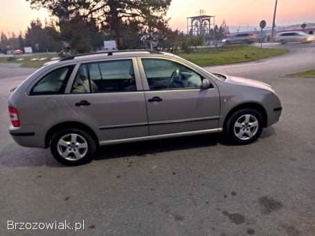 Škoda Fabia Lift 1.  4 16v 2007