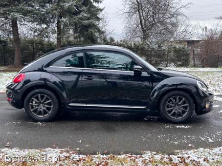 Volkswagen Beetle 2012