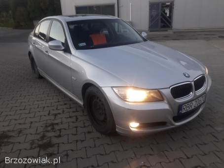 BMW Seria 3 318 2009