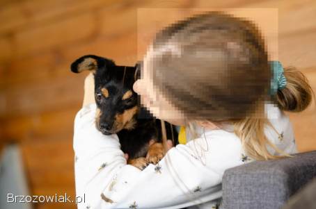 Nakolankowa Migotka,  suczka z wielką osobowością :)