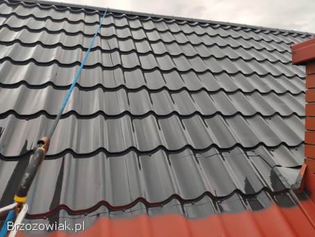 Malowanie dachów/ Mycie 500bar/ Usługi podnośnikiem koszowym