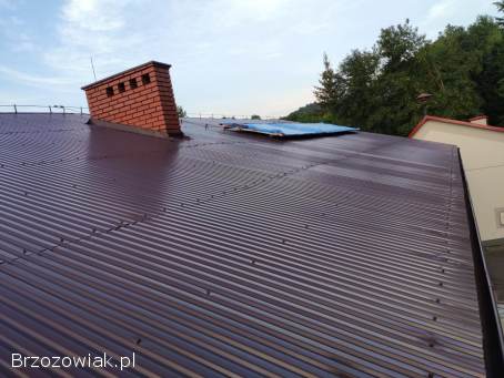 Malowanie dachów/ Mycie 500bar/ Usługi podnośnikiem koszowym