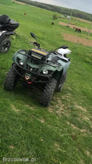 Quad Yamaha 250 Bruin