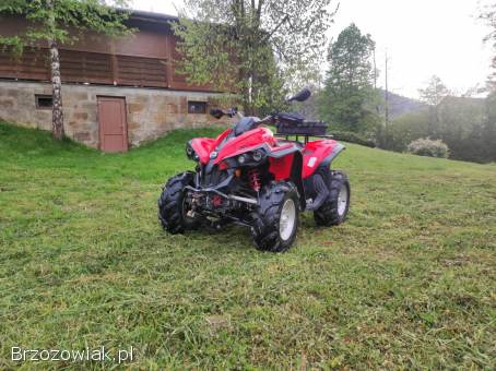 Can am Renegade 500 2010