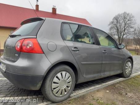 Volkswagen Golf 2006