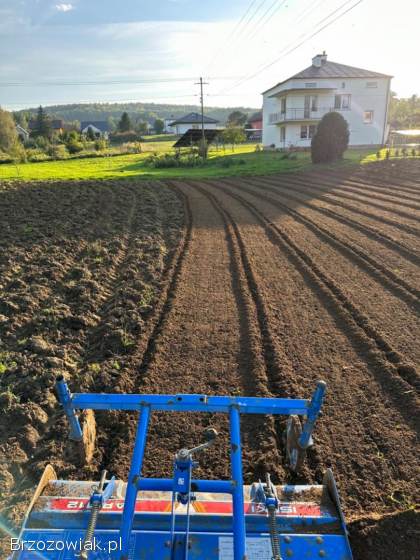 Usługi Minikoparką,  prace ziemne+wywrotka do 3,  5T+usługi ogrodnicze