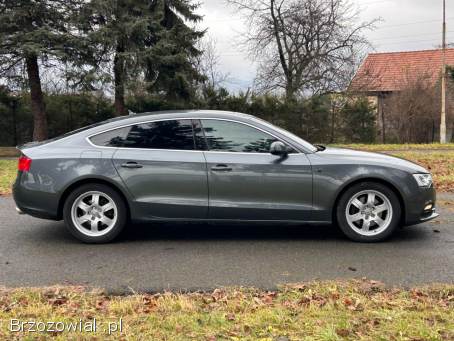 Audi A5 3.  0 TDI 4x4 2013