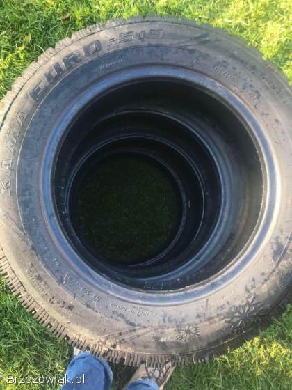 Opony zimowe 175/65 R14