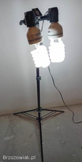 Lampa studyjna studio fotograficzne