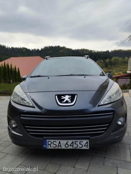 Peugeot 207 2010