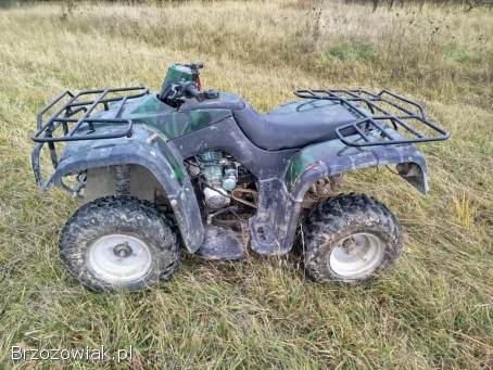 Quad 250 ccm