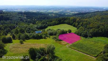 Działka z widokiem na zamek w Odrzykoniu -  Korczyna