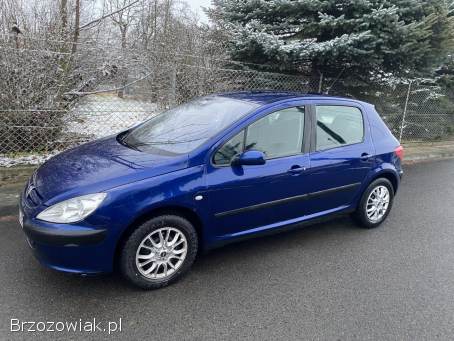 Peugeot 307 1.  6 LPG 5drzw 2003