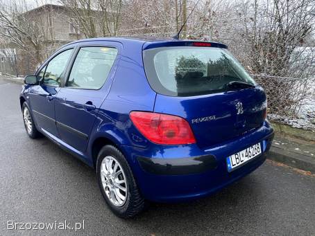 Peugeot 307 1.  6 LPG 5drzw 2003