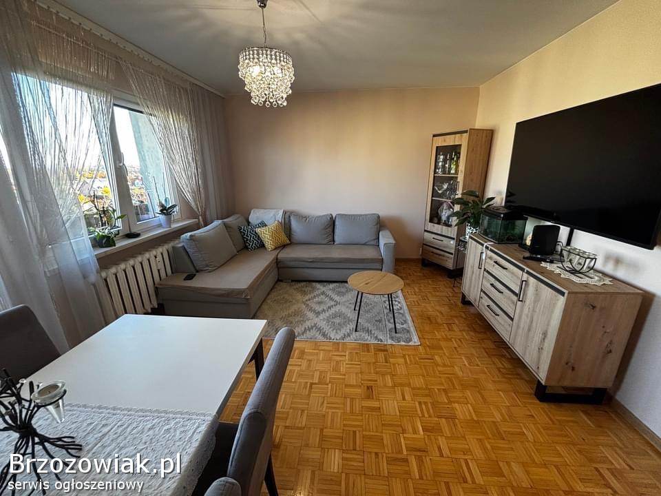 Piękne mieszkanie w Krośnie na osiedlu Traugutta