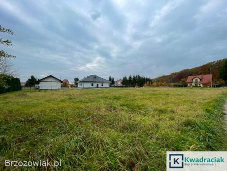 Niegłowice,  gm.  Jasło – działka budowlana 22 ary