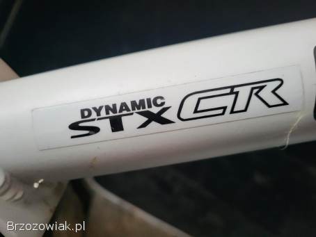 Rower elektryczny damski.