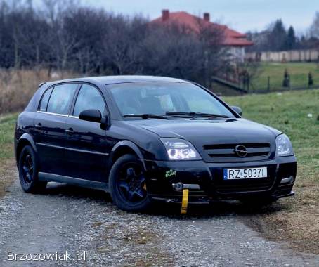 Opel Signum LPG  2003