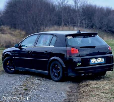 Opel Signum LPG  2003