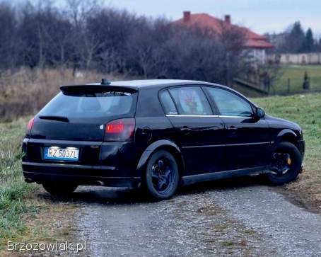 Opel Signum LPG  2003