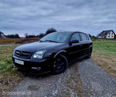 Opel Signum LPG  2003