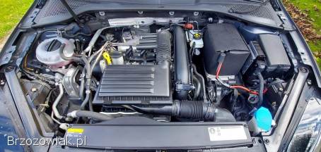 Volkswagen Golf VII ALLSTAR 2016