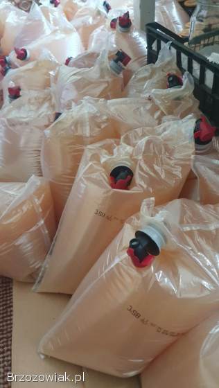Sok jabłkowy 5l,  tłoczony na zimno,  100 naturalny