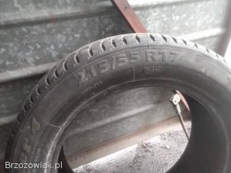 Opony wielosezonowa 215/55/R17