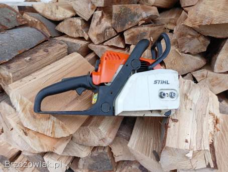 Piła Stihl ms170