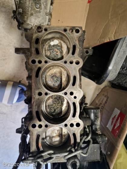 Silnik 1.  4 8V 77KM