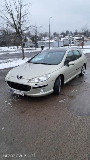 Peugeot 407 2006