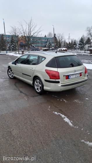 Peugeot 407 2006