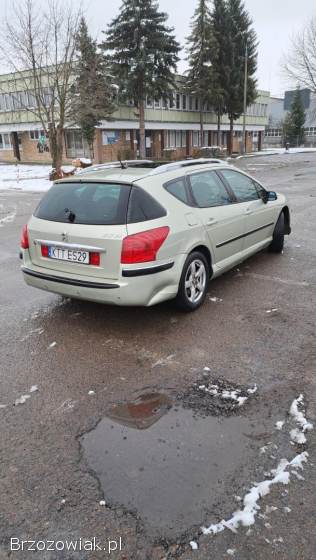 Peugeot 407 2006