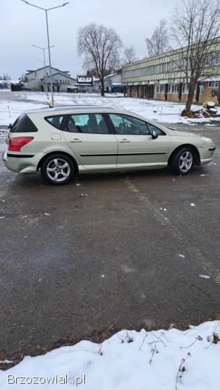 Peugeot 407 2006