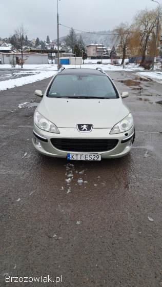 Peugeot 407 2006