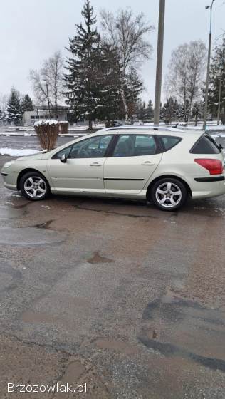 Peugeot 407 2006