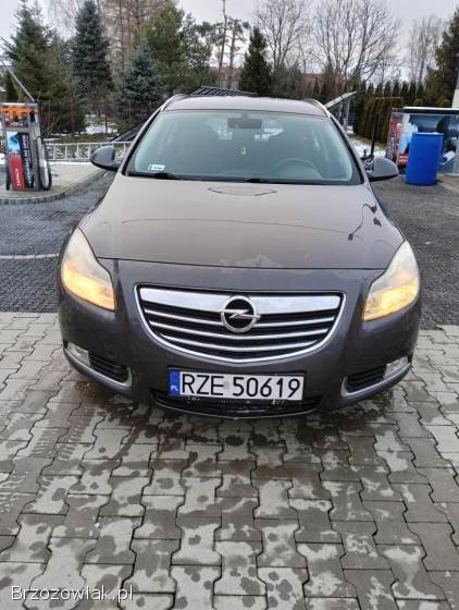 Opel Insignia Sports Tourer 2009