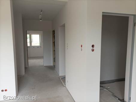 Profesjonalne Usługi Budowlane