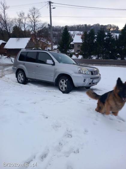 Nissan X-Trail 2005