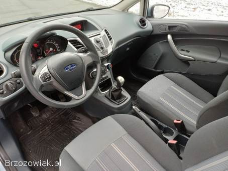 Ford Fiesta Benzyna 1.  25 16V 2008