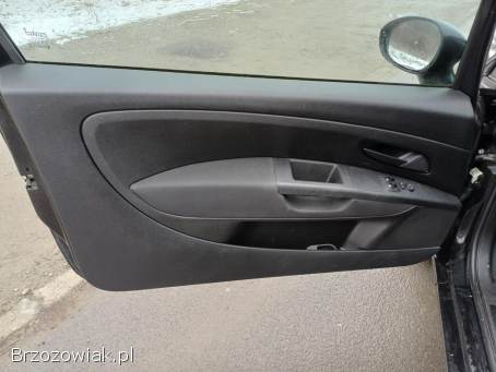 Fiat Grande Punto Benzyna 1.  2 8V 2009