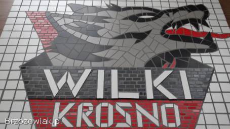 Mozaika Wilki Krosno żużel