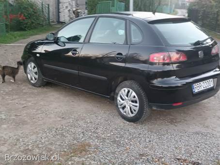 Seat Ibiza 2005