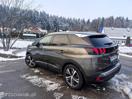 Peugeot 3008 II Perfekt!   2018