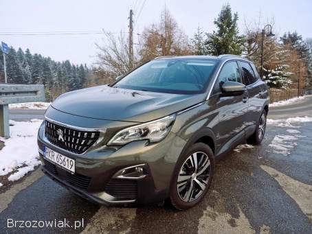 Peugeot 3008 II Perfekt!   2018