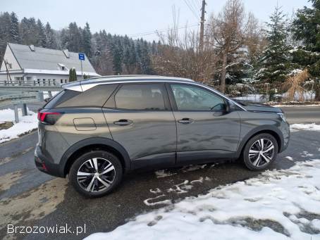 Peugeot 3008 II Perfekt!   2018