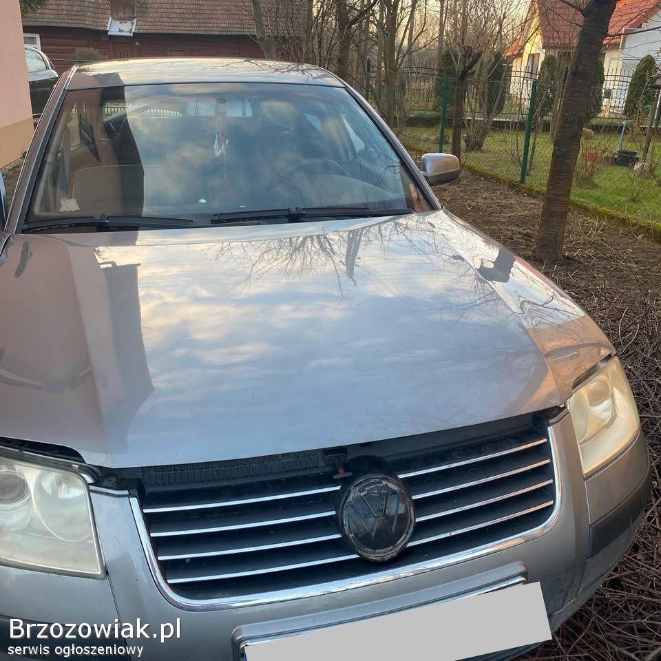 Volkswagen Passat B5 2002